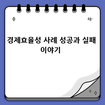 경제효율성 사례 성공과 실패 이야기 