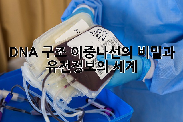 DNA 구조: 이중나선의 비밀과 유전정보의 세계