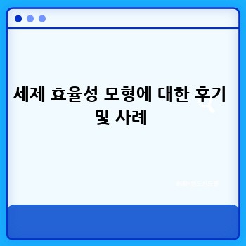 세제 효율성 모형에 대한 후기 및 사례