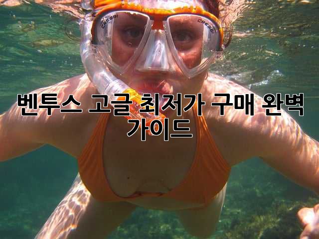 벤투스 고글 최저가 구매 완벽 가이드!
