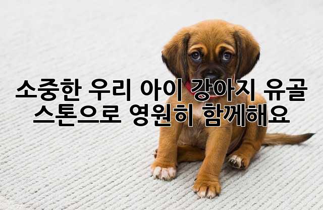소중한 우리 아이, 강아지 유골 스톤으로 영원히 함께해요